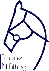 Equine Bit Fitting